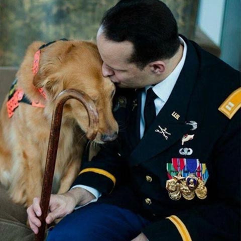 dog4